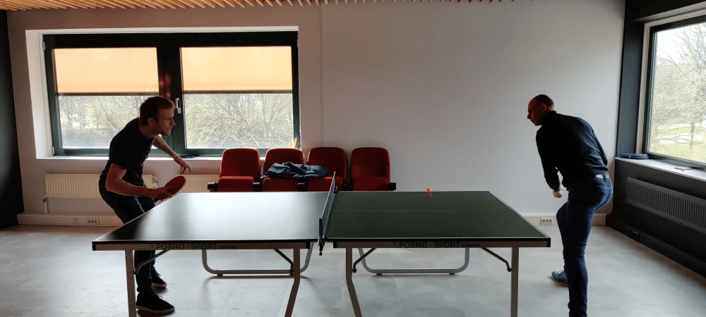 ping-pong